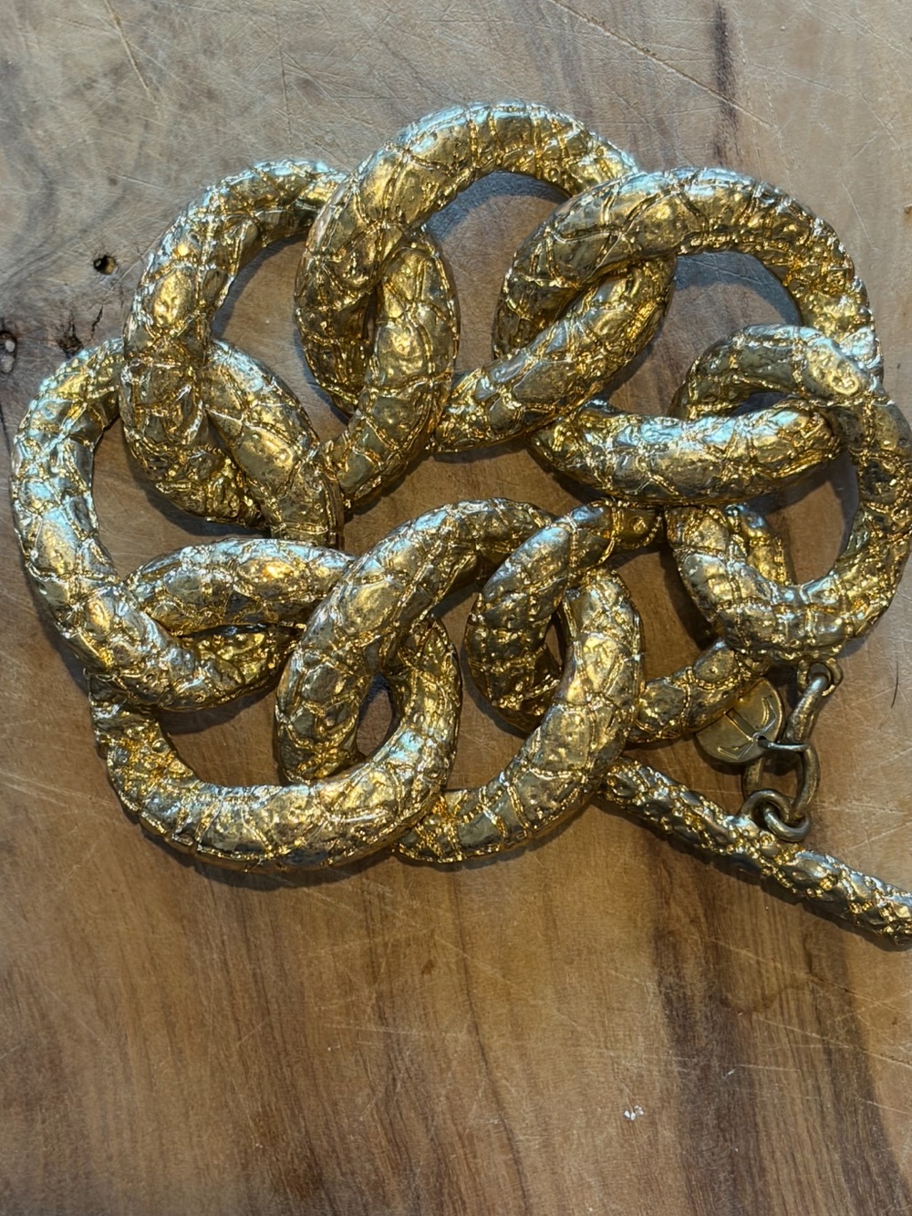Unbranded Textured Gold Reptile Habitat Chain Bracelet